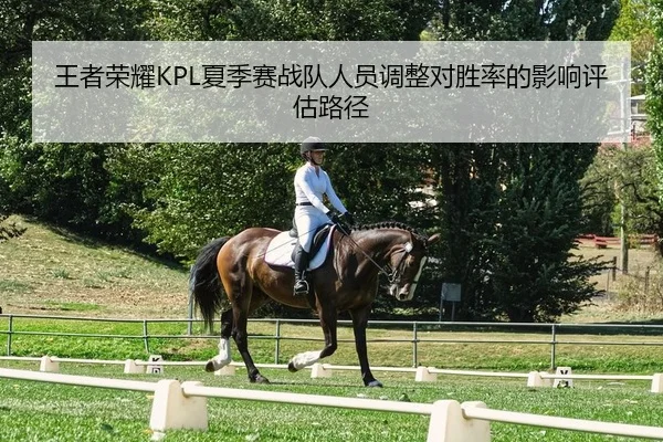 wang-zhe-rong-yao-xia-ji-sai-zhan-dui-ren-yuan-tiao-zheng-dui-sheng-lv-de-ying-xiang-ping-gu-lu-jing-2-199.jpg